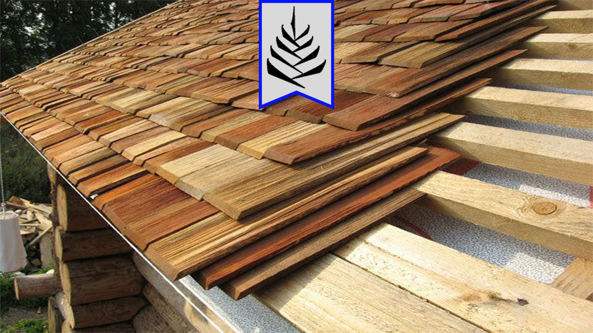رنگ مخصوص چوب ترمووود - ترمو وود - رنگ چوب - ابعاد ترموود - رنگ چوب ترموود ترموترموود - ترموود - چوب ترموود - چوب ترمو - ترموود ایرانی - رنگ ترموود